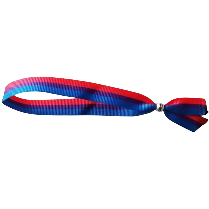 PRIDE - BISEXUELLES ARMBAND