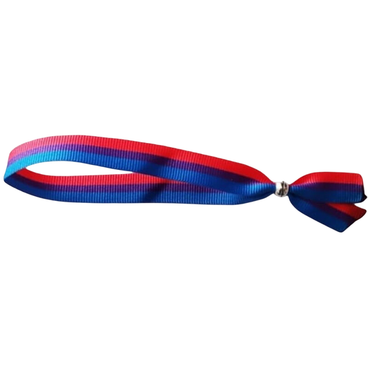 PRIDE - BISEXUELLES ARMBAND