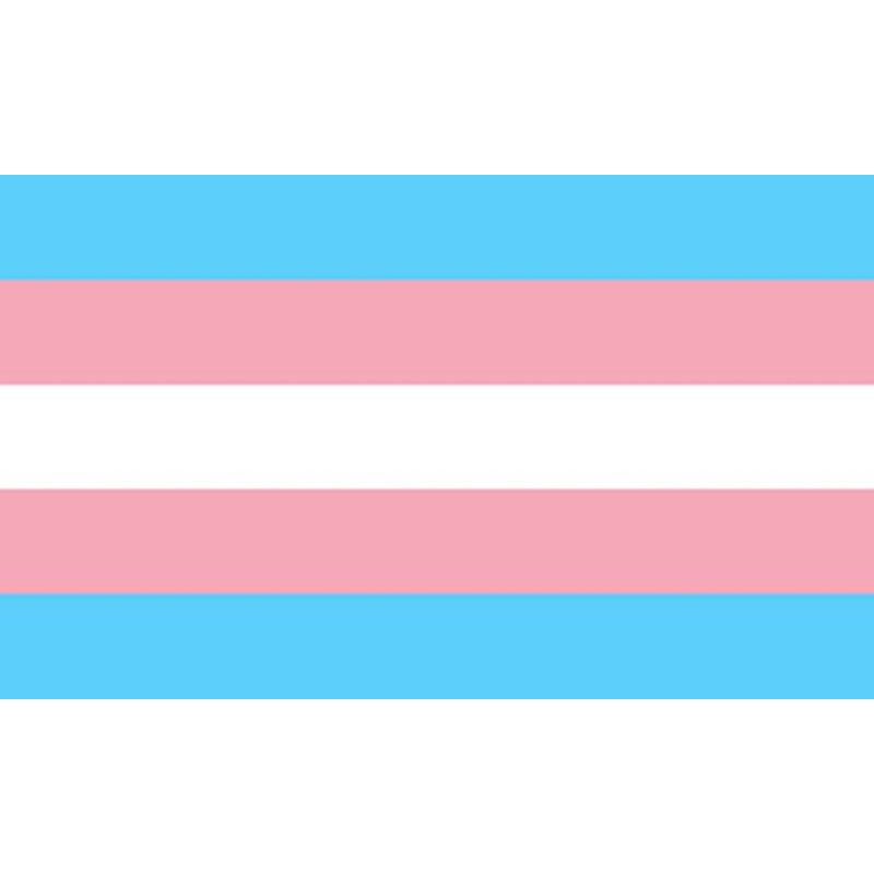 PRIDE - TRANSSEXUELLE FLAGGE 90 X 150