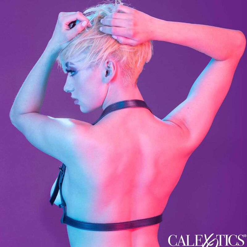 CALEXOTICS - EUPHORIA ARNÊS DE FIVELA HALTER PRETO