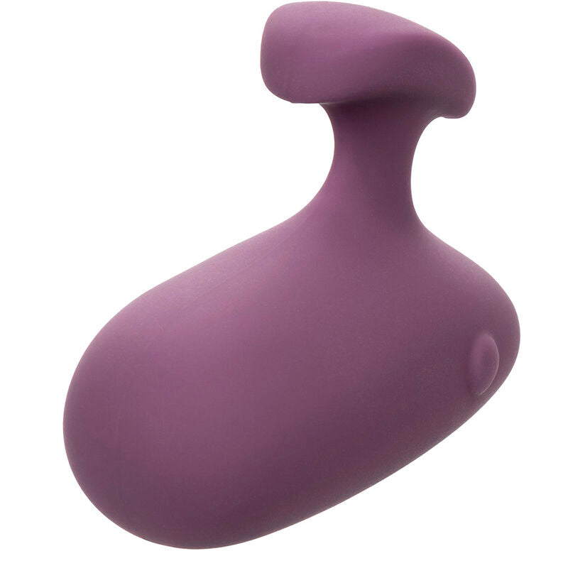 CALEXOTICS - PURPLE MOD TOUCH STIMULATOR