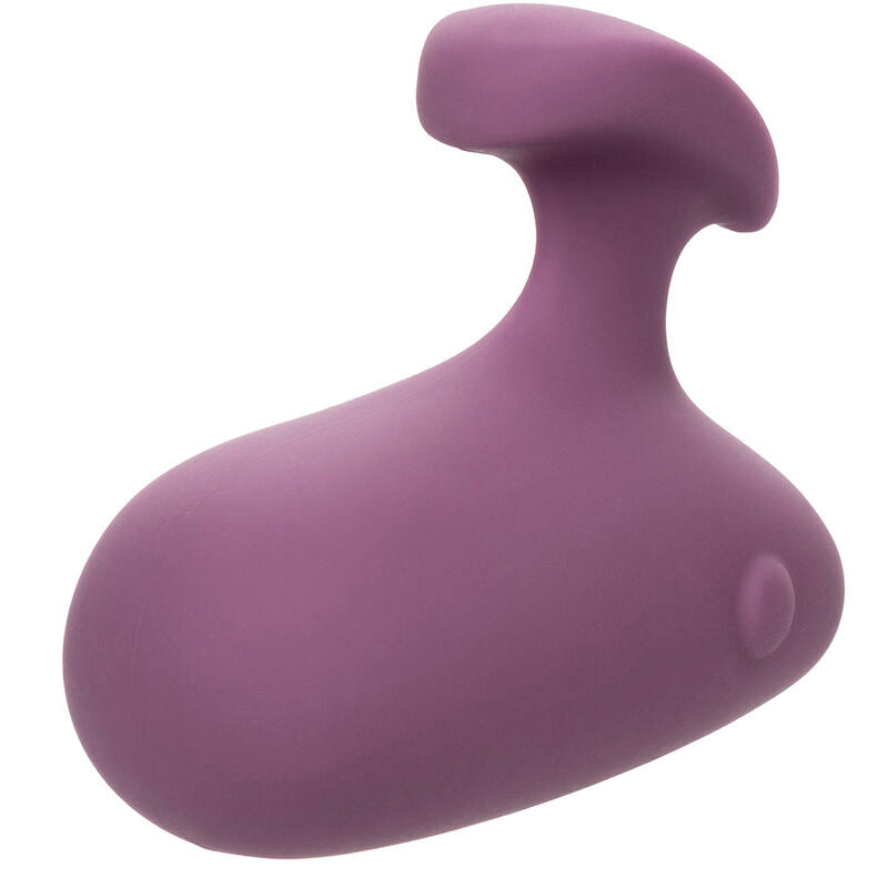 CALEXOTICS - PURPLE MOD TOUCH STIMULATOR