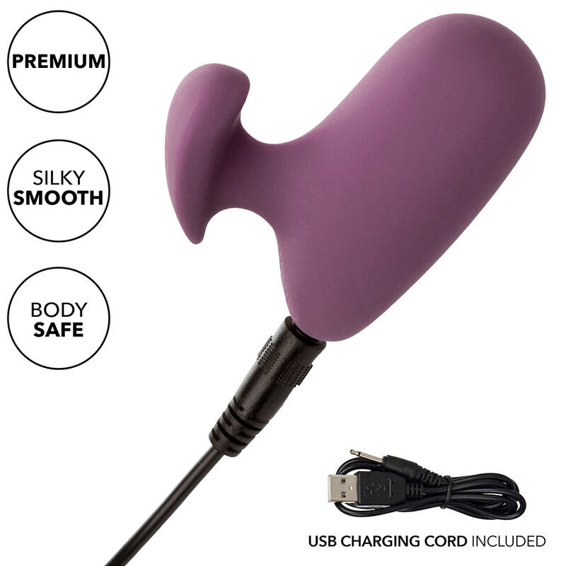 CALEXOTICS - PURPLE MOD TOUCH STIMULATOR