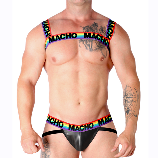 MALE - DOUBLE HARNESS PRIDE LIMITED