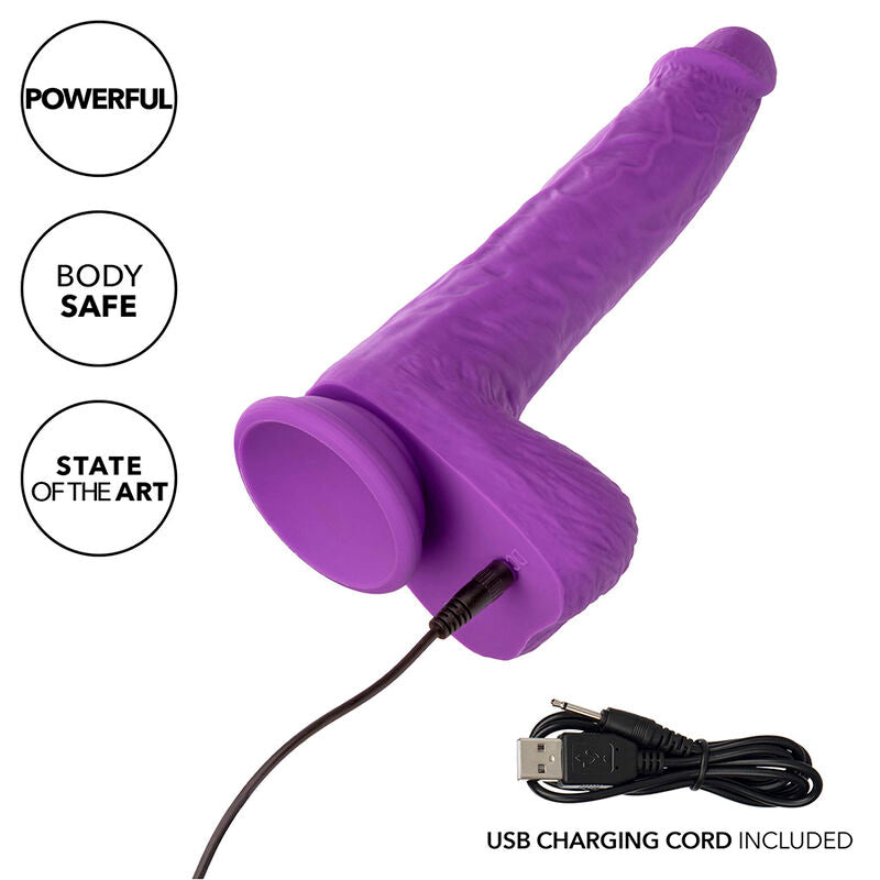 CALEXOTICS - ROTIERENDE UND WIEDERAUFLADBARE VIBRATORSTIFTE 10 VIBRATIONEN LILA