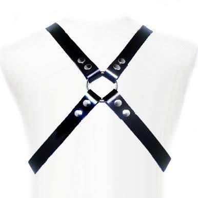 LEDER BODY - BASIC HARNESS