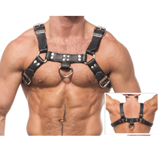 LEATHER BODY - III CHAIN ​​HARNESS