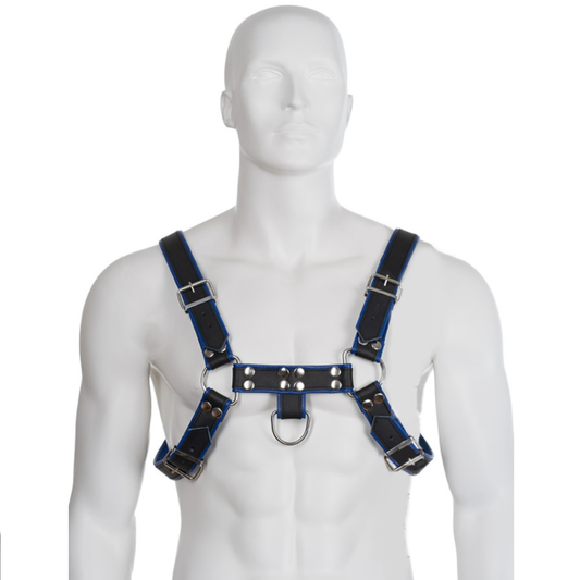 LEATHER BODY - BULLDOG CHEST BLACK/BLUE LEATHER HARNESS