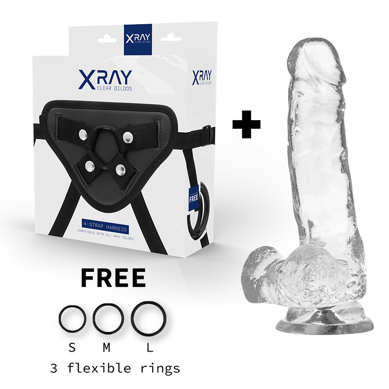 X RAY - HARNESS + TRANSPARENTER DILDO MIT KUGELN 18,5 CM -O- 3,8 CM