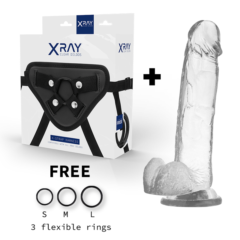 X RAY - HARNESS + DILDO MIT KUGELN 22 CM -O- 4,6 CM