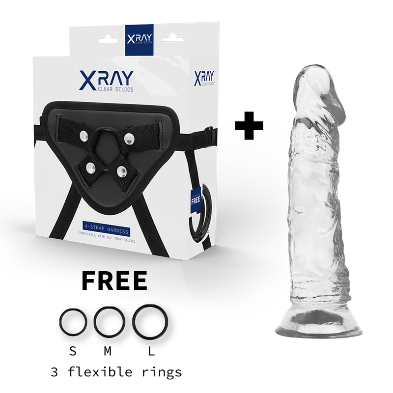 X RAY - HARNESS + TRANSPARENTER DILDO 19 CM -O- 4 CM